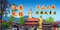 男女日皮有声视频江苏无锡灵山大佛旅游风景区